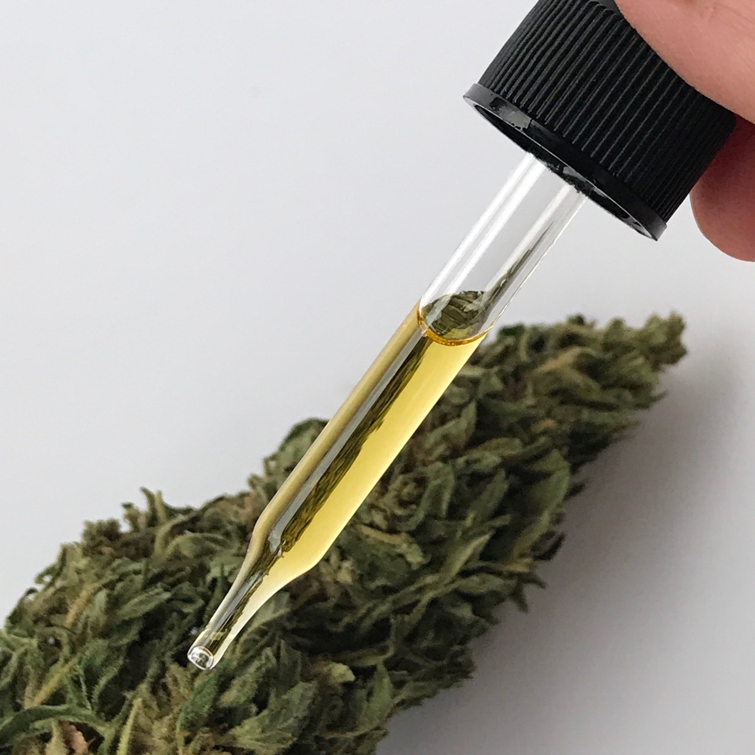 CBDa Raw Hemp oil, Full Spectrum CO2 Hemp flower extract, CBDa oil, CBDa  extraction, CO2 extracted CBD, Artisan CBD products, Full Spectrum hemp oil,  Organically grown CBD hemp | Reverence Botanicals